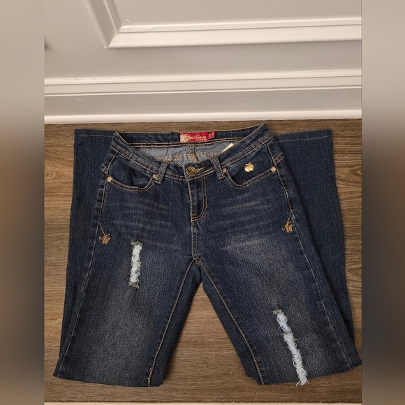 Vintage Apple Bottoms Distressed Bootcut Jeans Size 3/4 - Picture 1 of 9